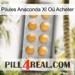 Pilules Anaconda Xl Où Acheter levitra1